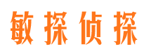 贵溪侦探公司